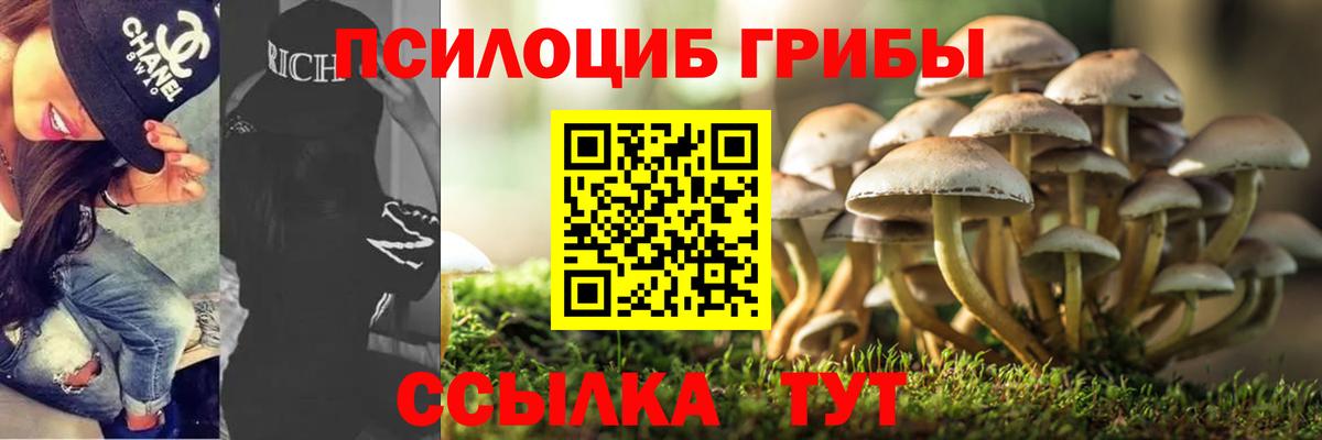 Псилоцибиновые грибы Magic Shrooms Астрахань